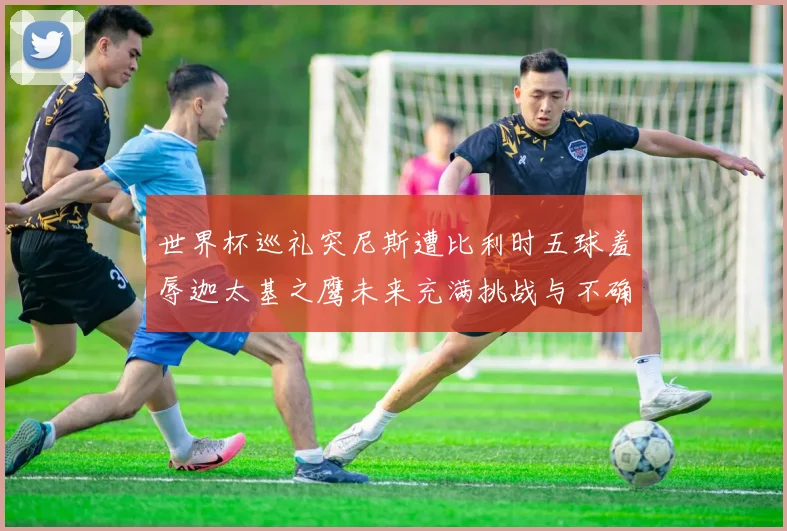 世界杯巡礼突尼斯遭比利时五球羞辱迦太基之鹰未来充满挑战与不确定性