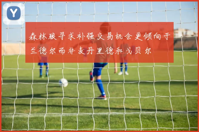 森林狼寻求补强交易机会更倾向于兰德尔而非麦丹里德和戈贝尔