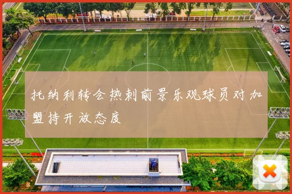 托纳利转会热刺前景乐观球员对加盟持开放态度