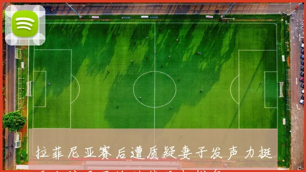 拉菲尼亚赛后遭质疑妻子发声力挺反击盼巴西输的偏见与俗气